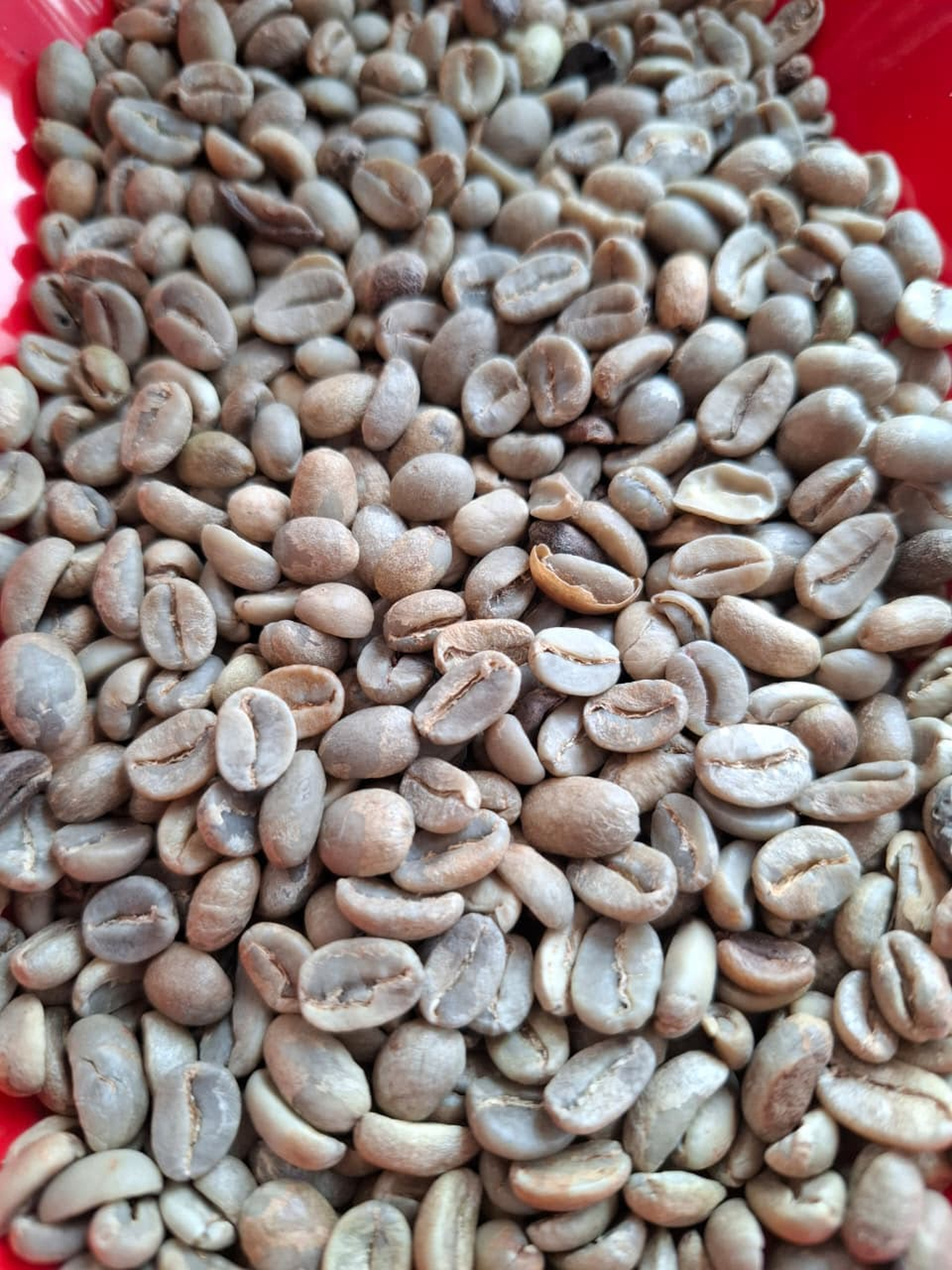 Arabica Flores Bajawa G2 product image