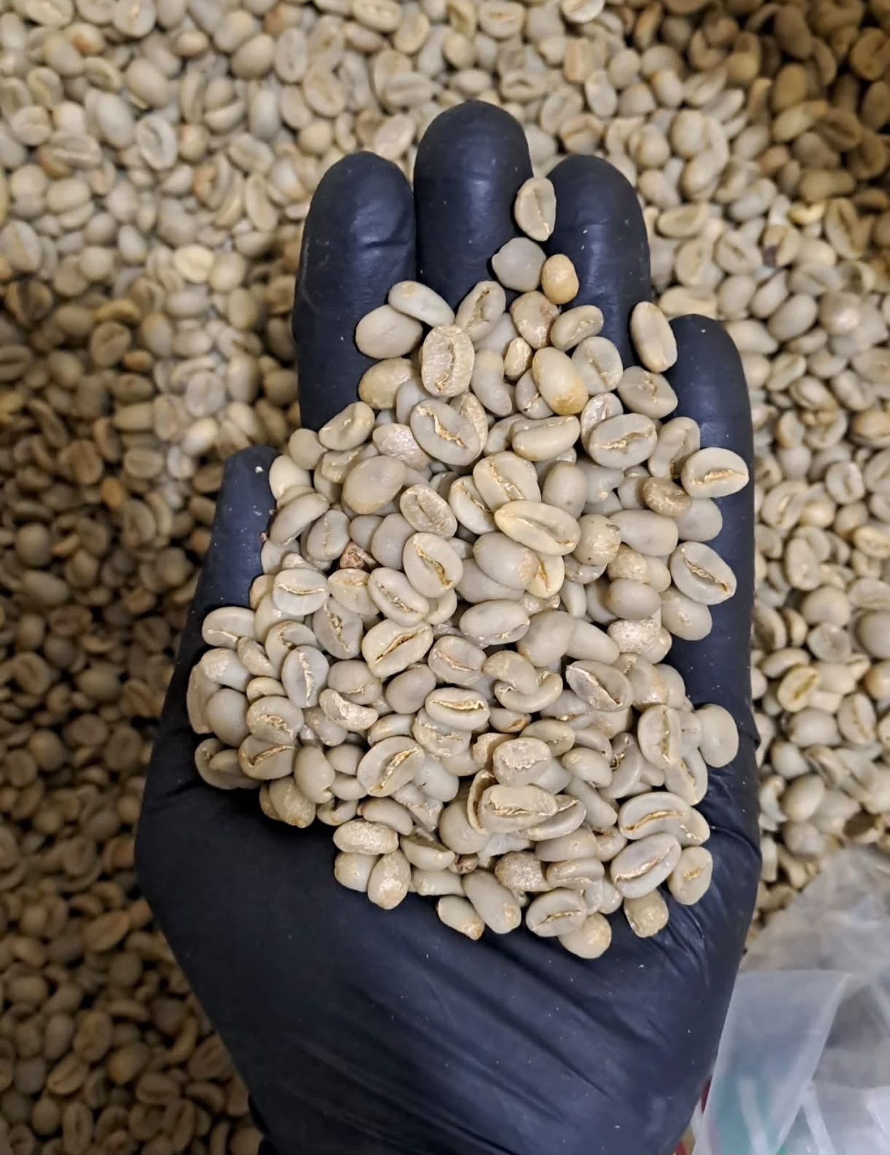 Arabica Full-Washed Ijen Grade 1 product image