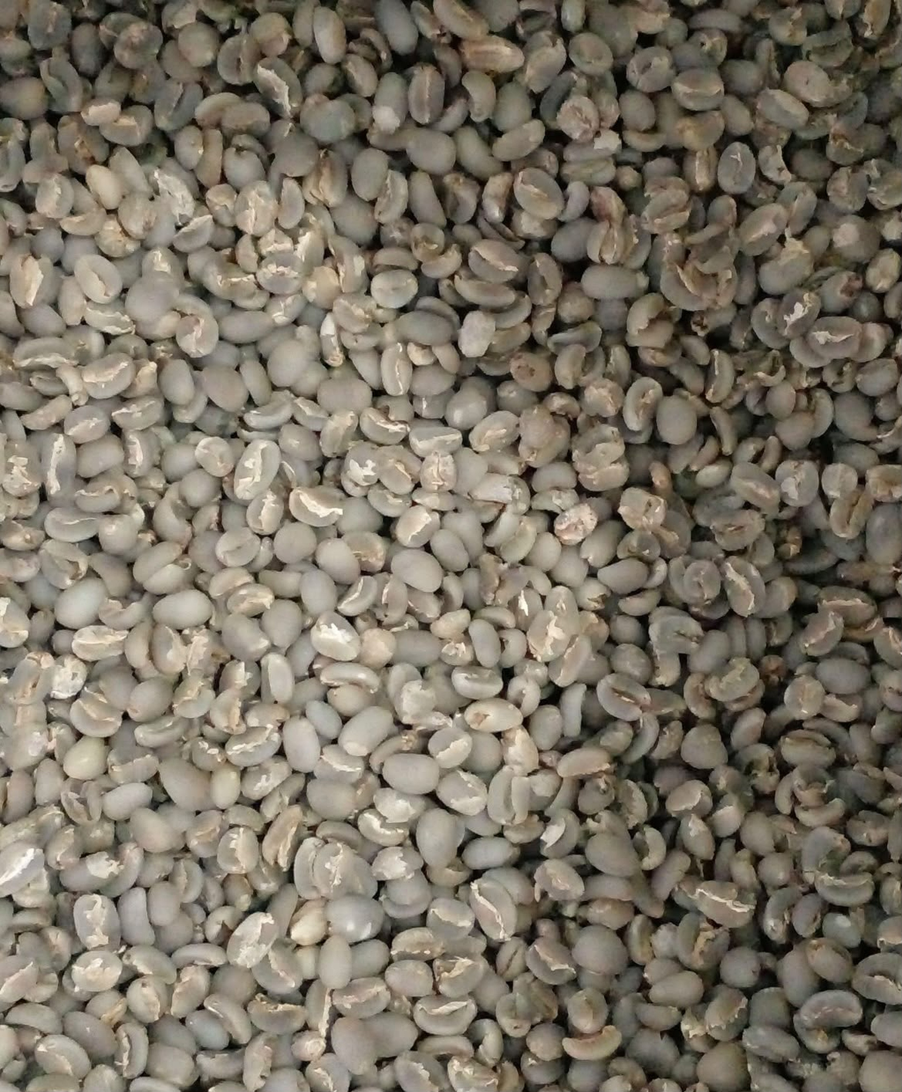 Arabica Semi-Washed Gayo product image