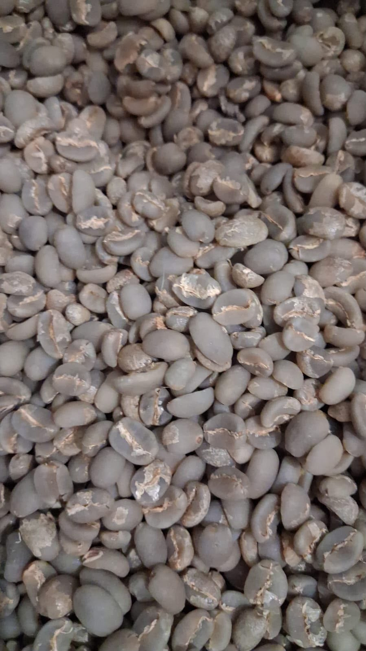 Arabica Semi-Washed Mandheling product image
