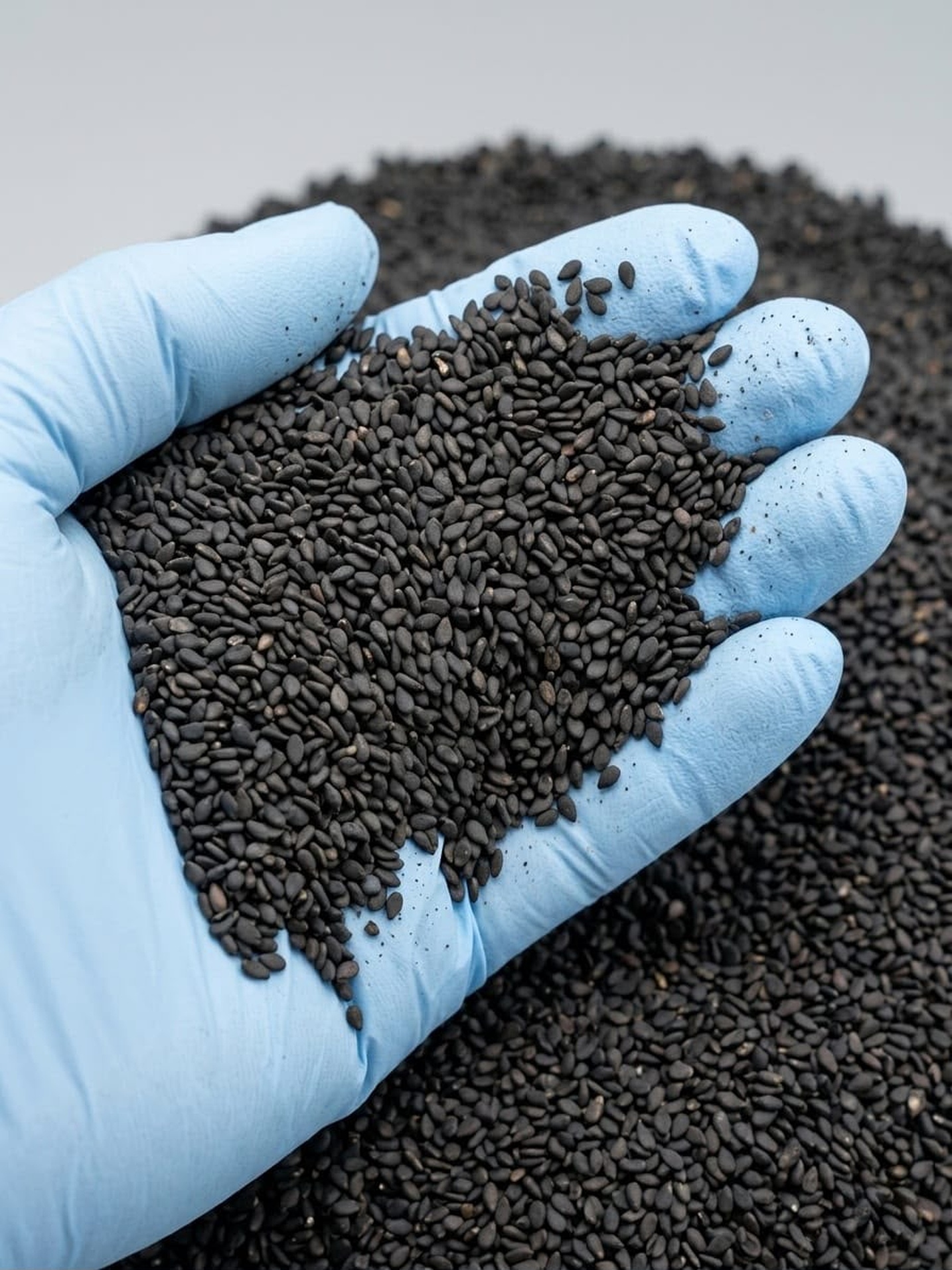 Black Sesame Seeds product image