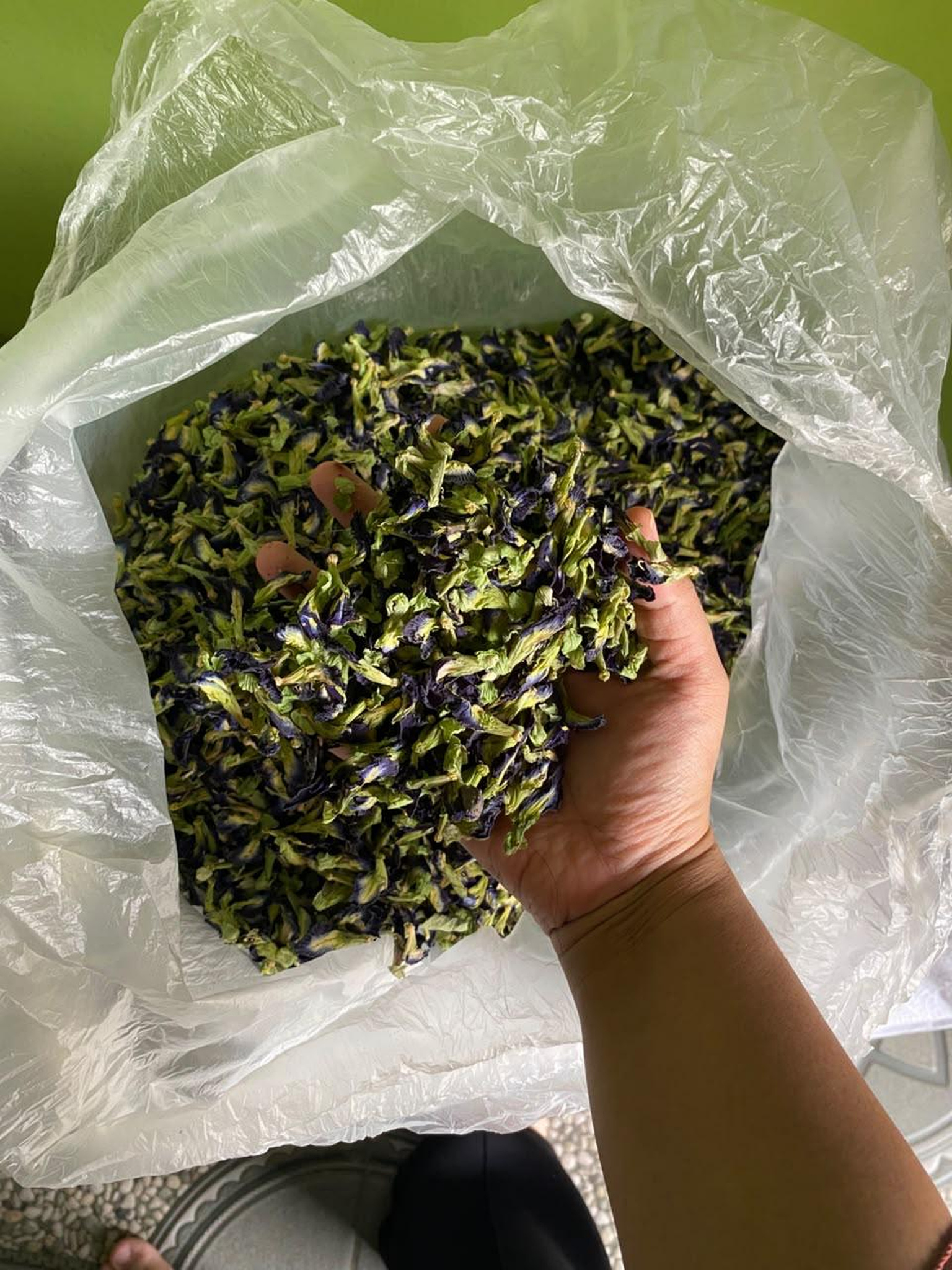 Butterfly Pea Flower product image