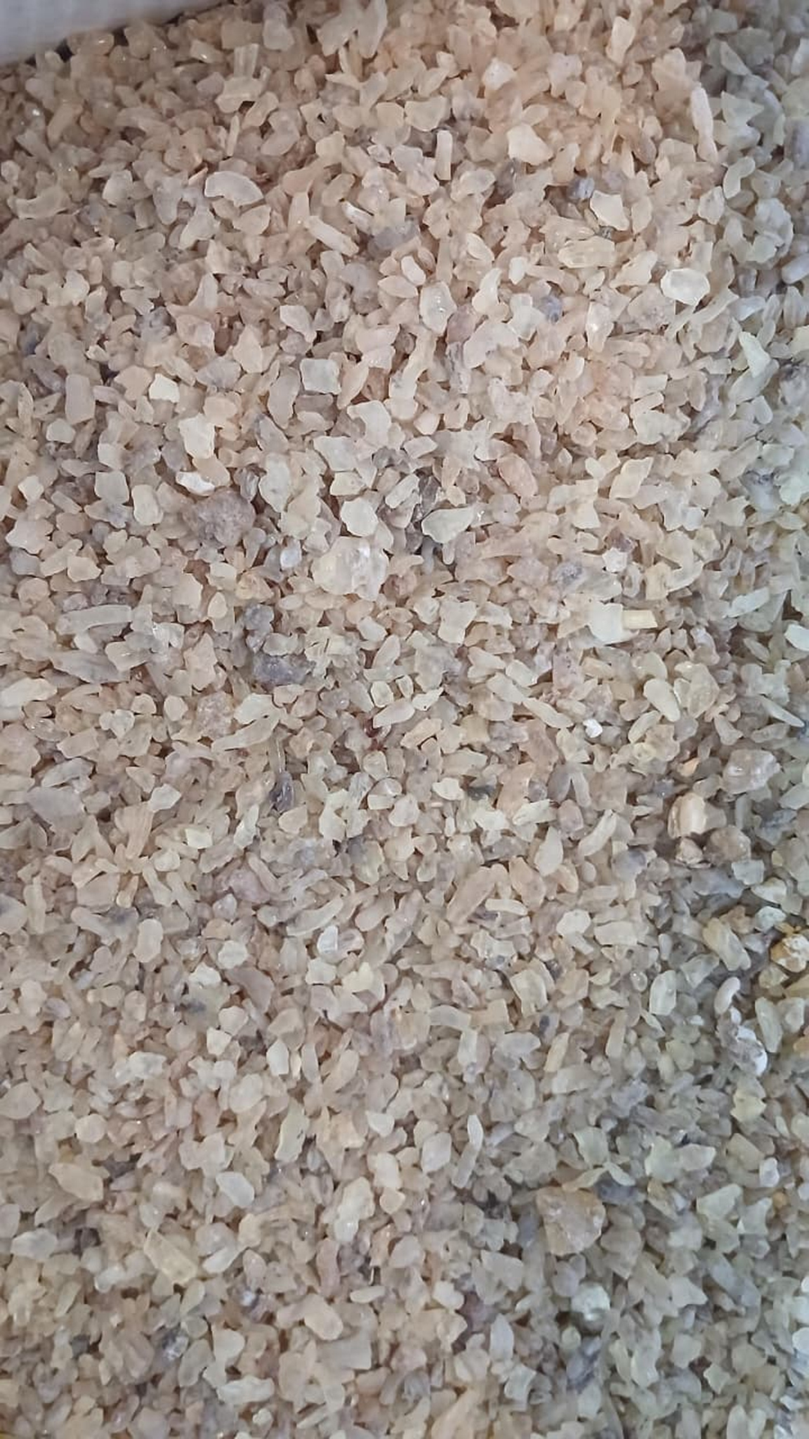 Copal DBB product image