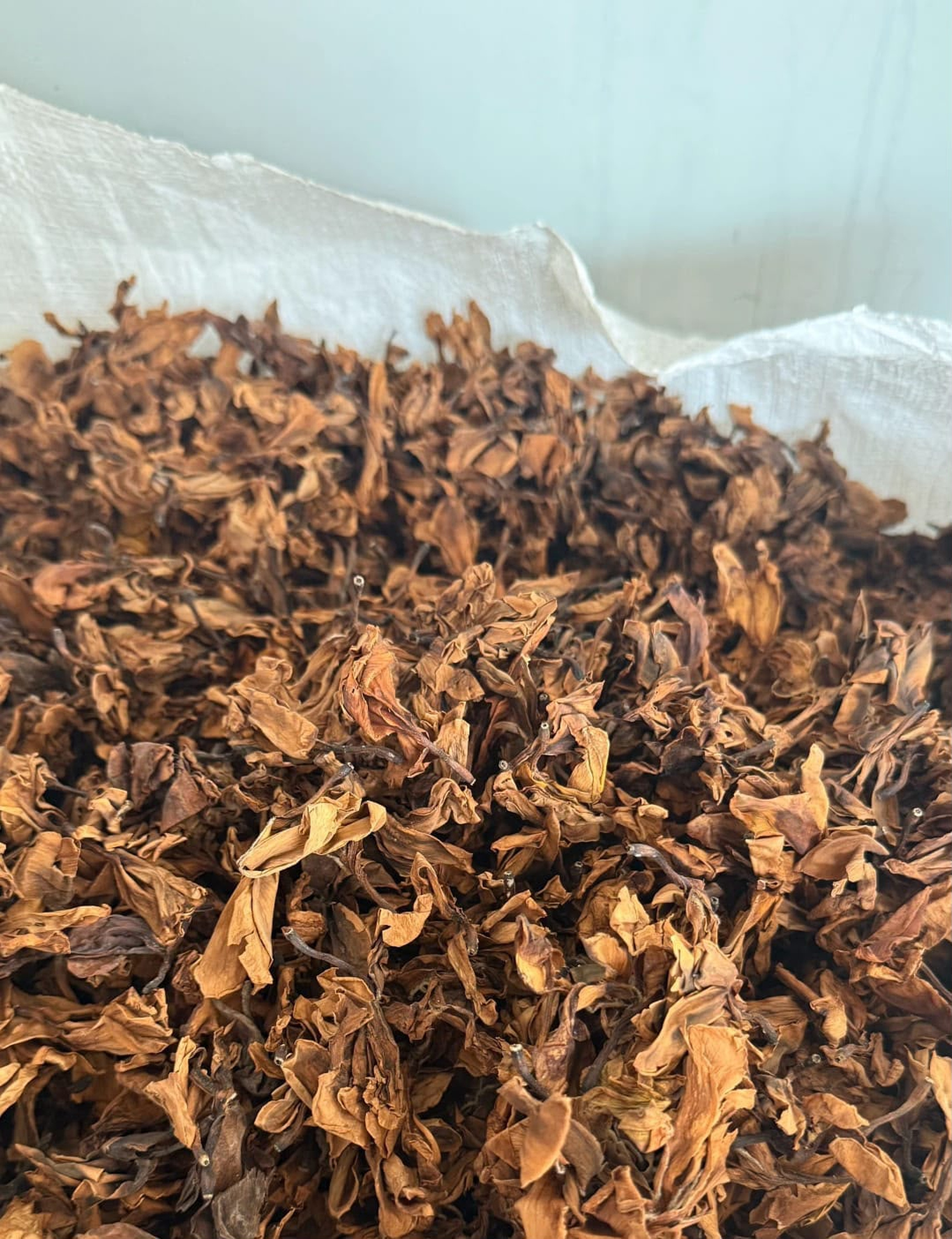 Dried Kamboja product image