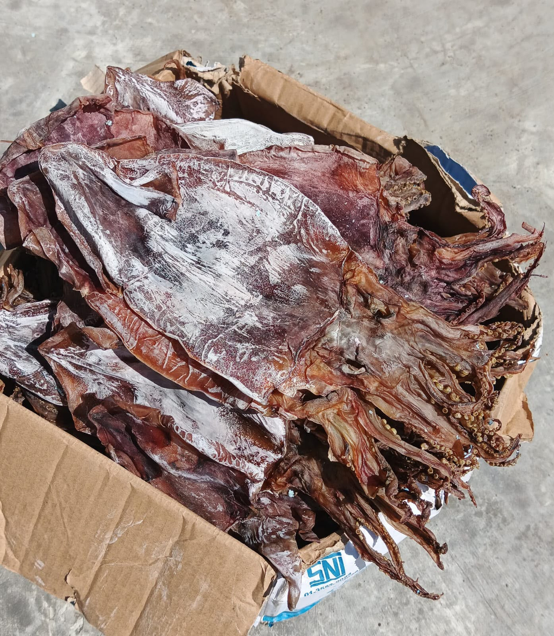 Dried Squid product image