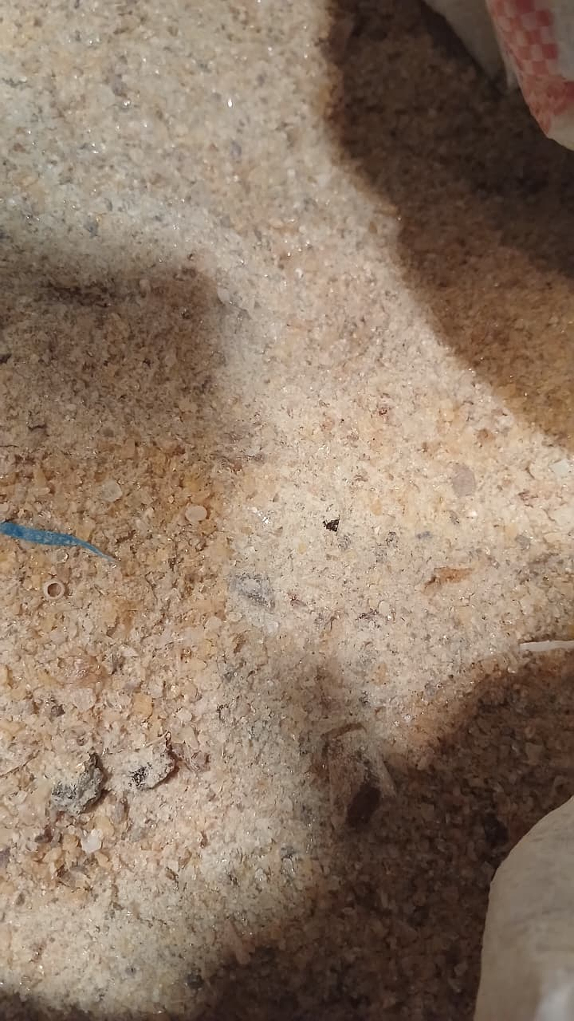 Dust Copal product image