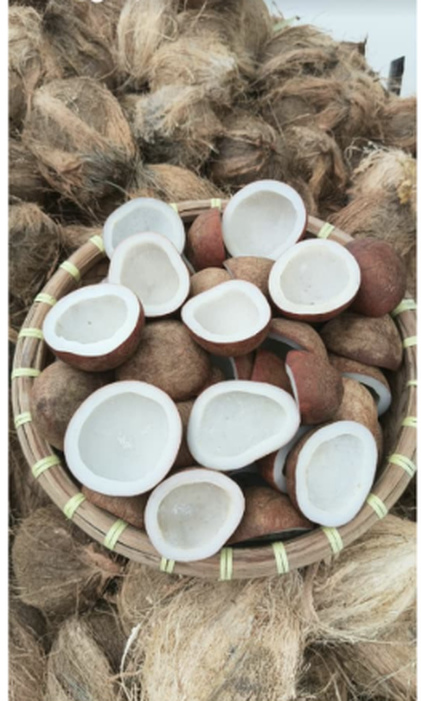 Edible Copra product image