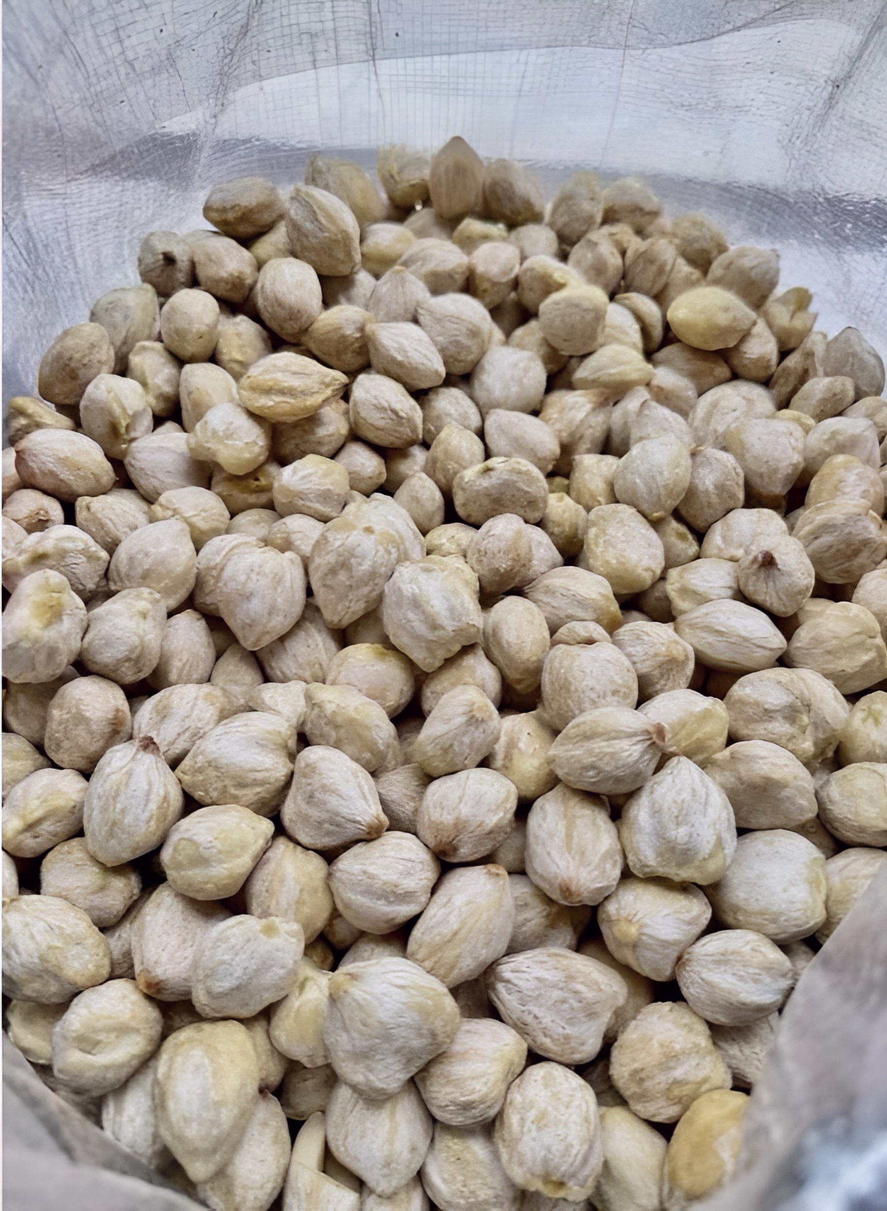 Whole Candlenut product image